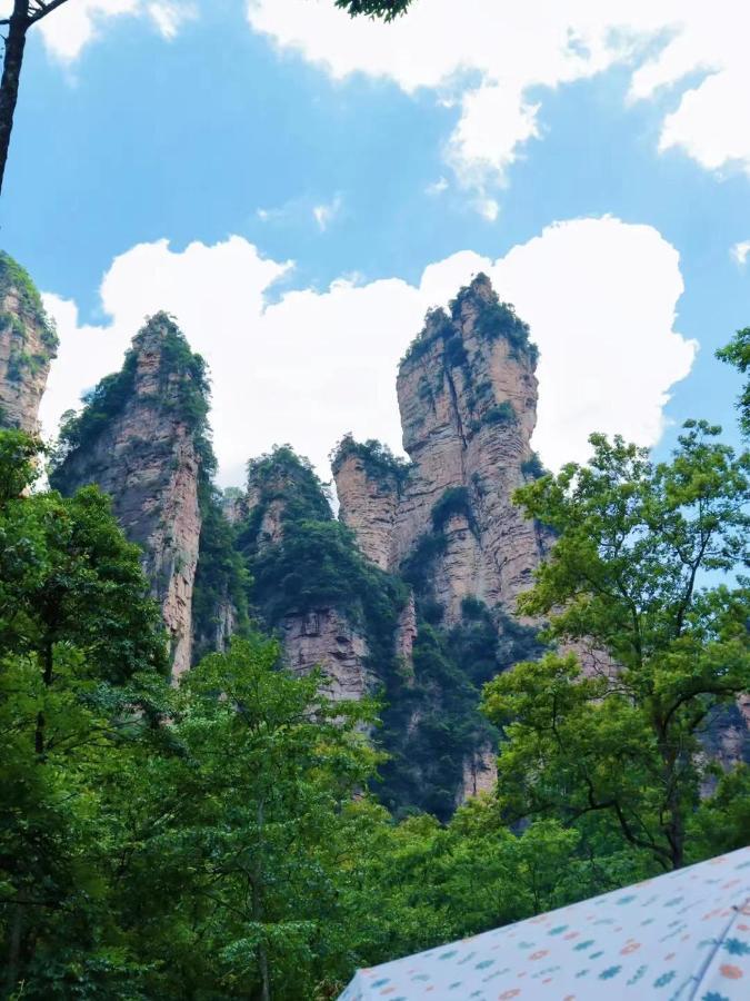Yijingju Humanistic Inn زانغجياجي المظهر الخارجي الصورة
