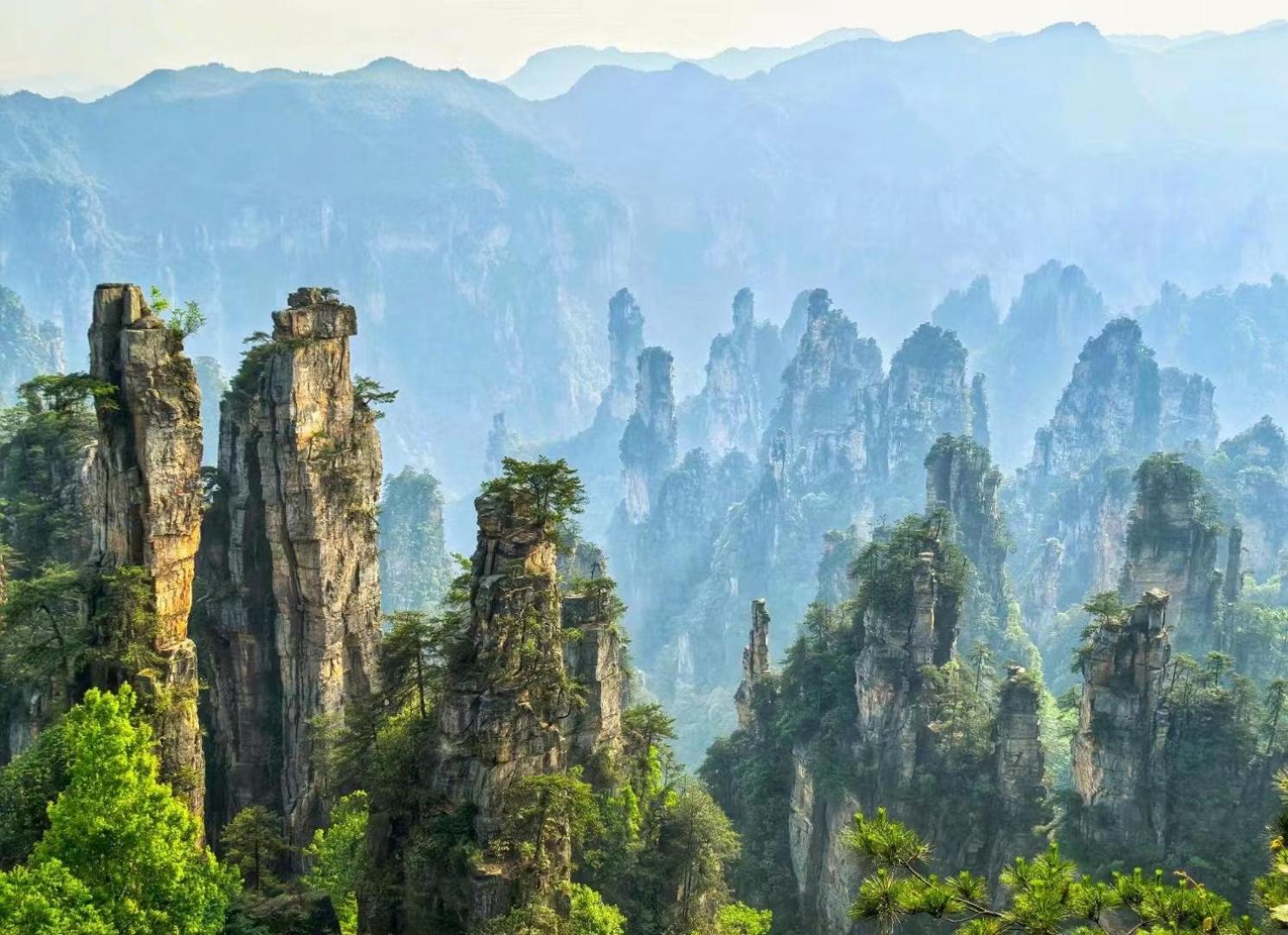Yijingju Humanistic Inn زانغجياجي المظهر الخارجي الصورة